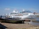 Cruise